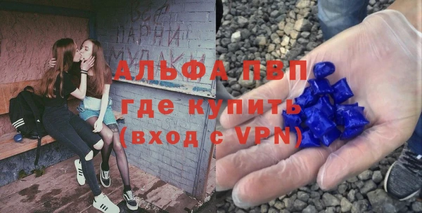 эйфоретик Богданович