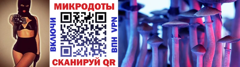 KRAKEN ССЫЛКА  Бологое  дарк нет клад  Галлюциногенные грибы Cubensis 