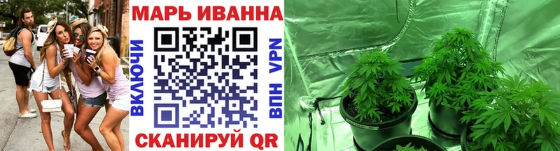 как найти закладки Бологое МЕГА зеркало Канабис план